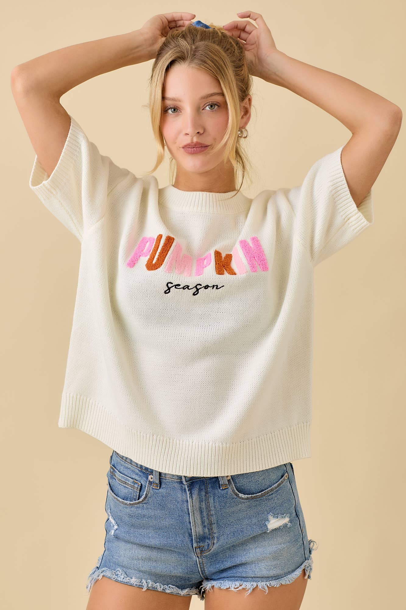 Pumpkin Season Embroidered Short Sleeve Boxy Sweater Top