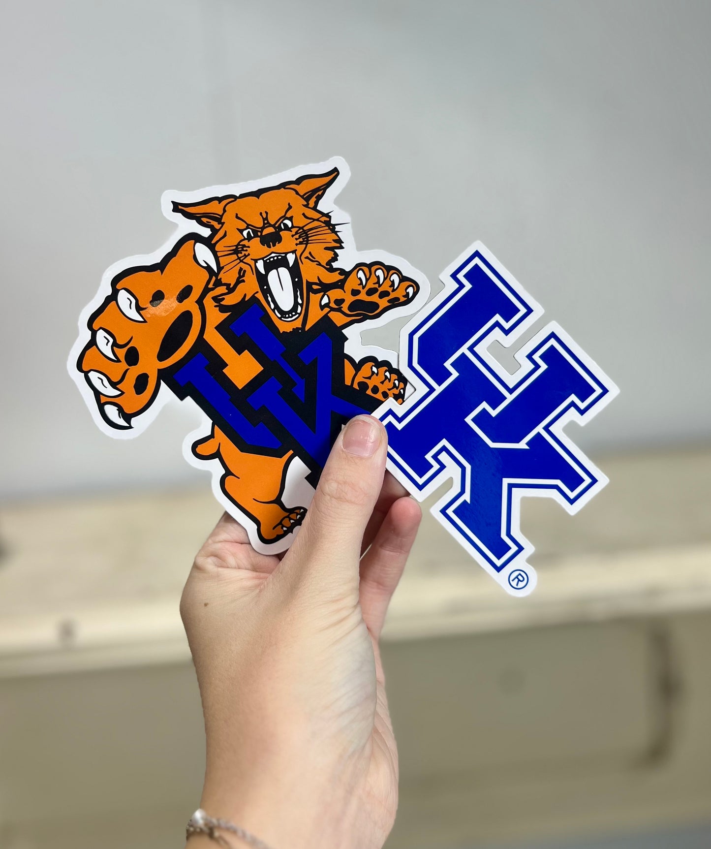 UK Car Magnets (set of 2)