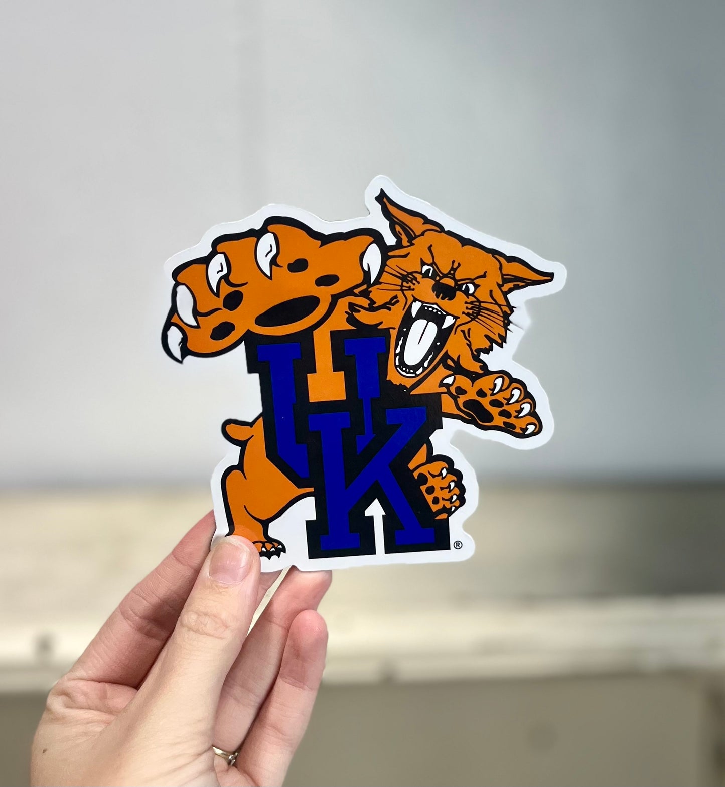 UK Car Magnets (set of 2)