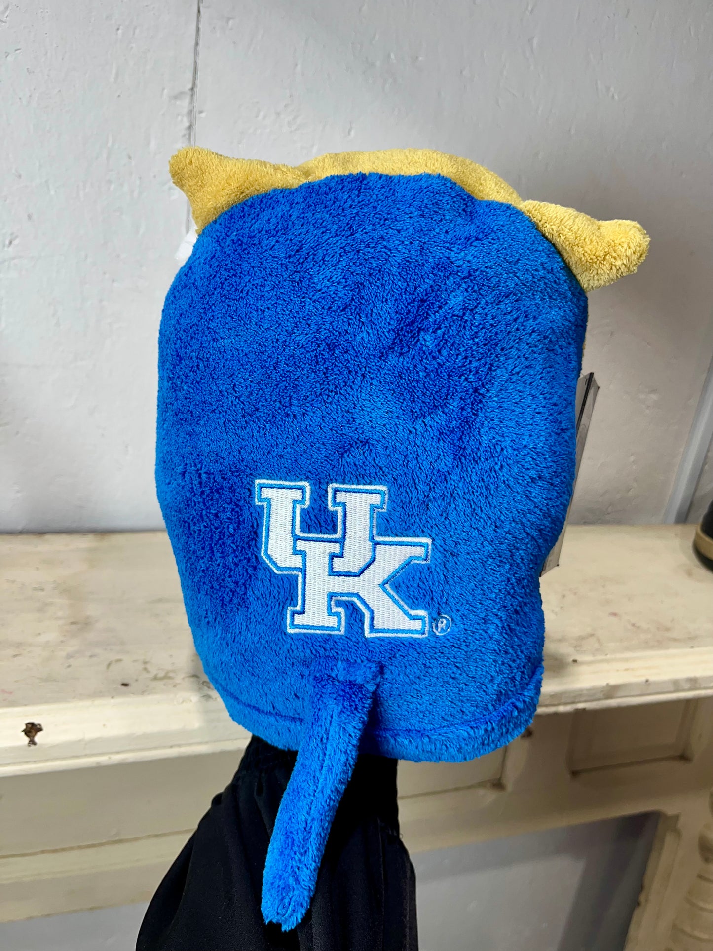 Wildcat Pillow/Blanket