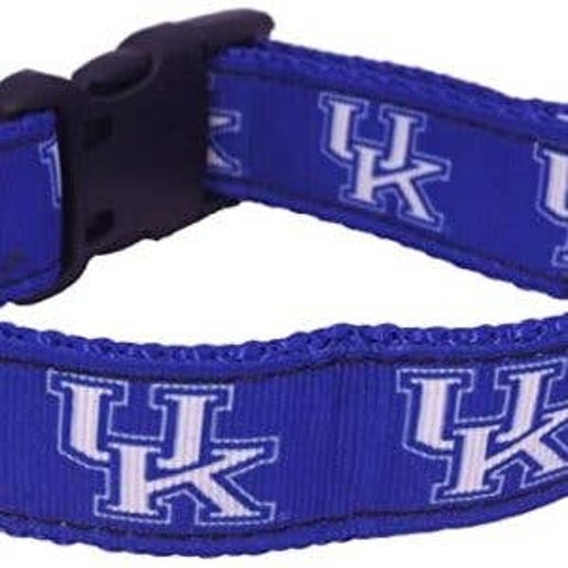 Kentucky Wildcats Dog Collar- Belted Ribbon