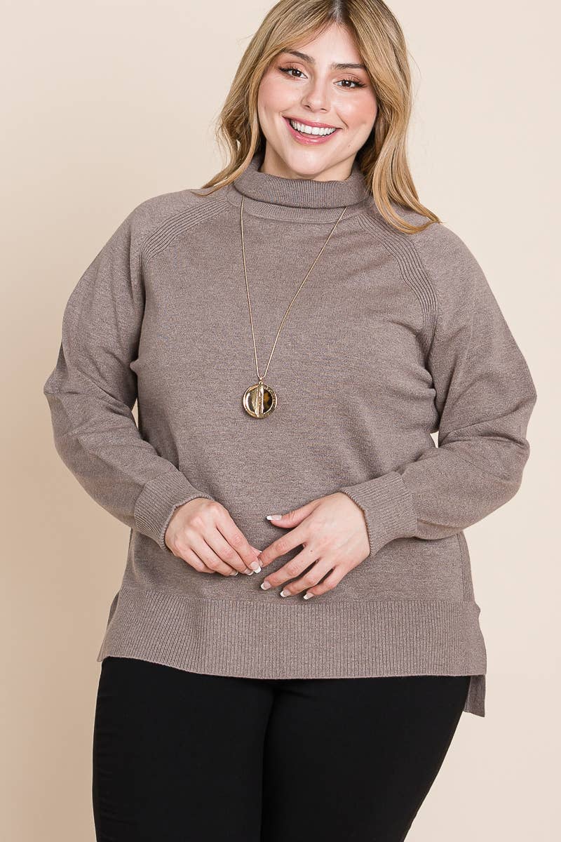 Plus Size Turtleneck Solid Sweater