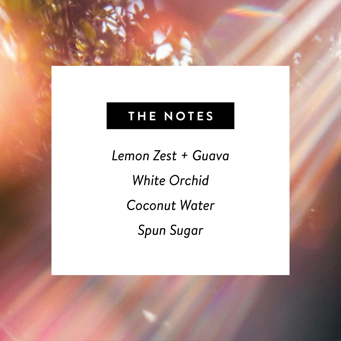 Solstice 🪞 Perfume - Nontoxic Eau De Parfum 1.7oz