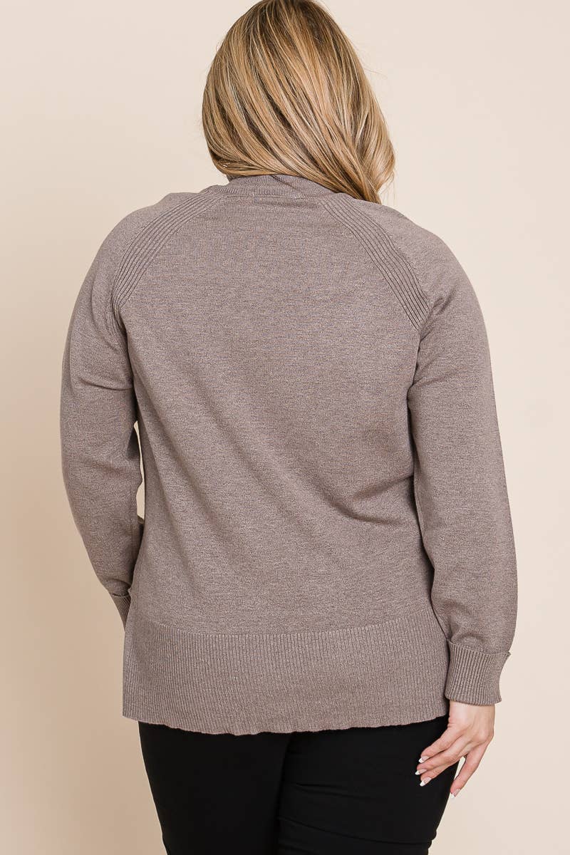 Plus Size Turtleneck Solid Sweater