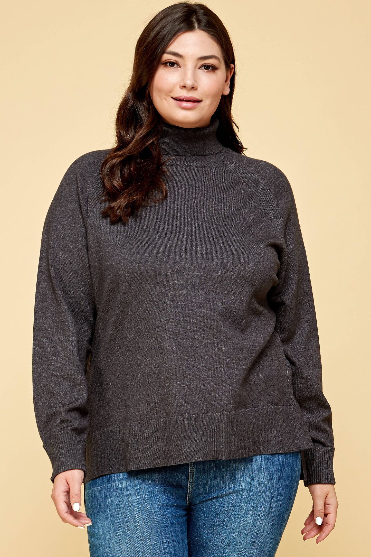 Plus Size Turtleneck Solid Sweater