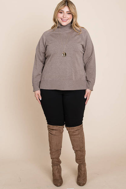 Plus Size Turtleneck Solid Sweater