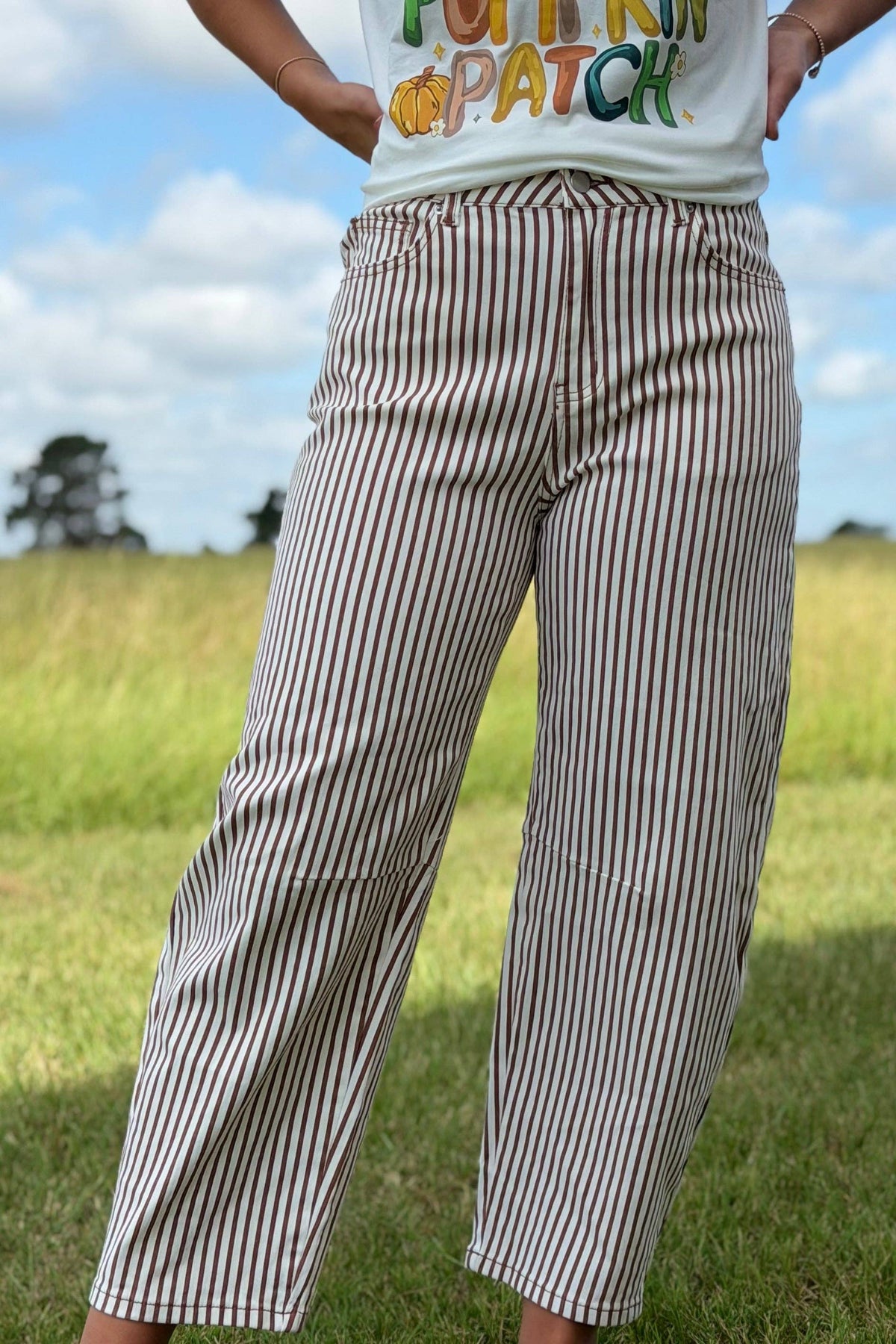 Bobbie Striped Barrel Jeans Brown