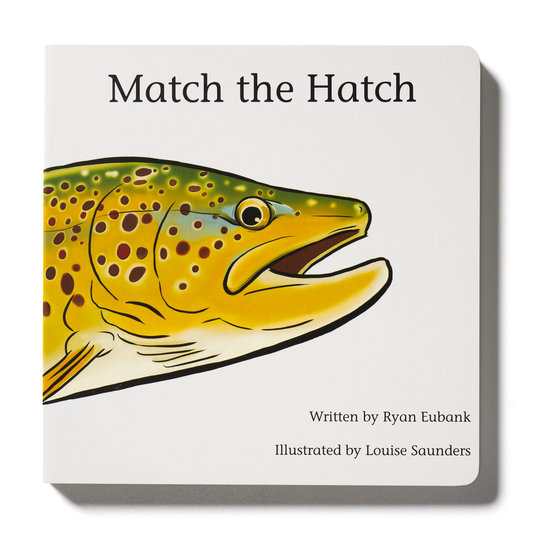 Match the Hatch Children's Book