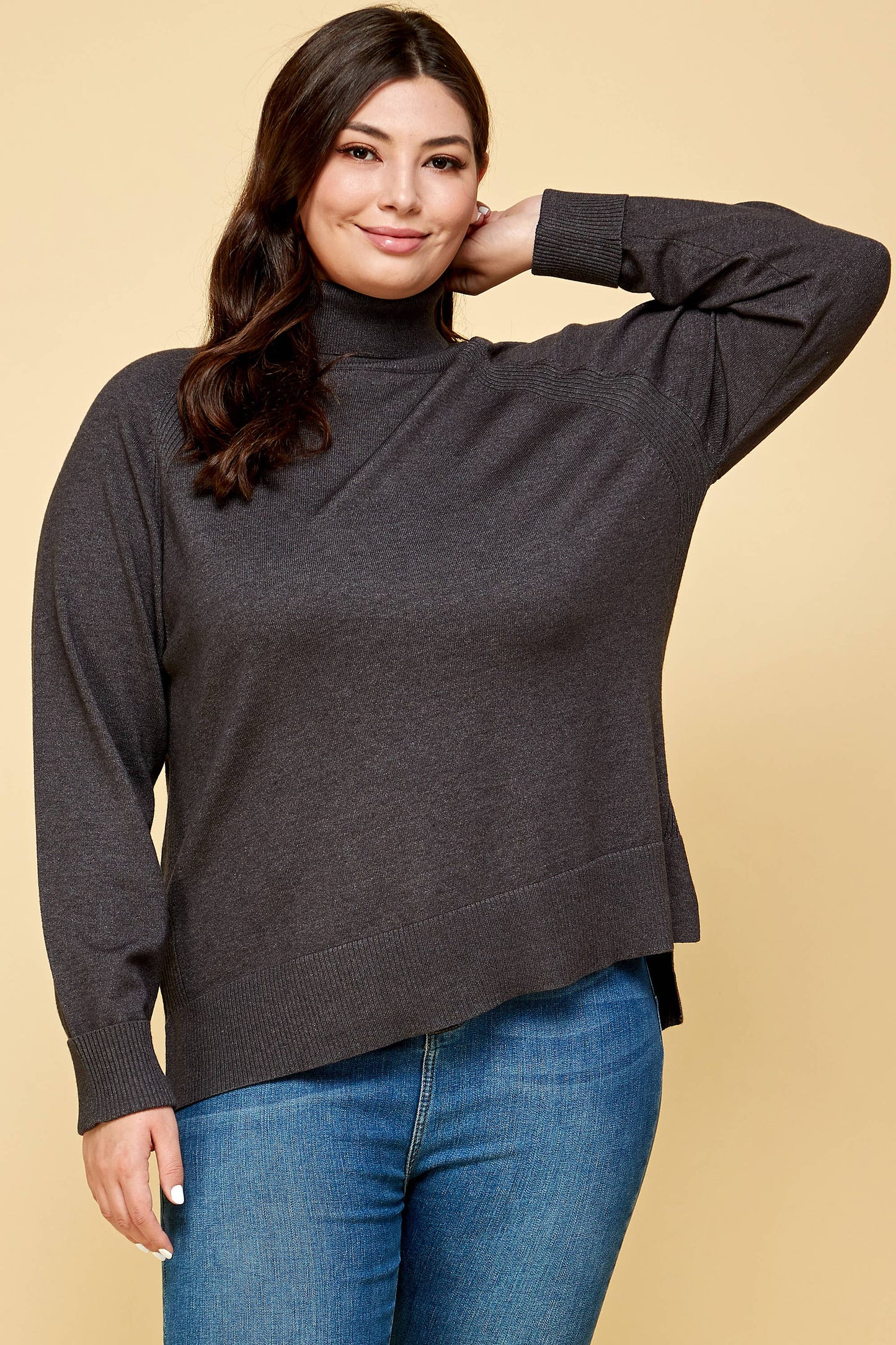 Plus Size Turtleneck Solid Sweater