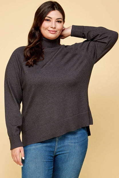 Plus Size Turtleneck Solid Sweater