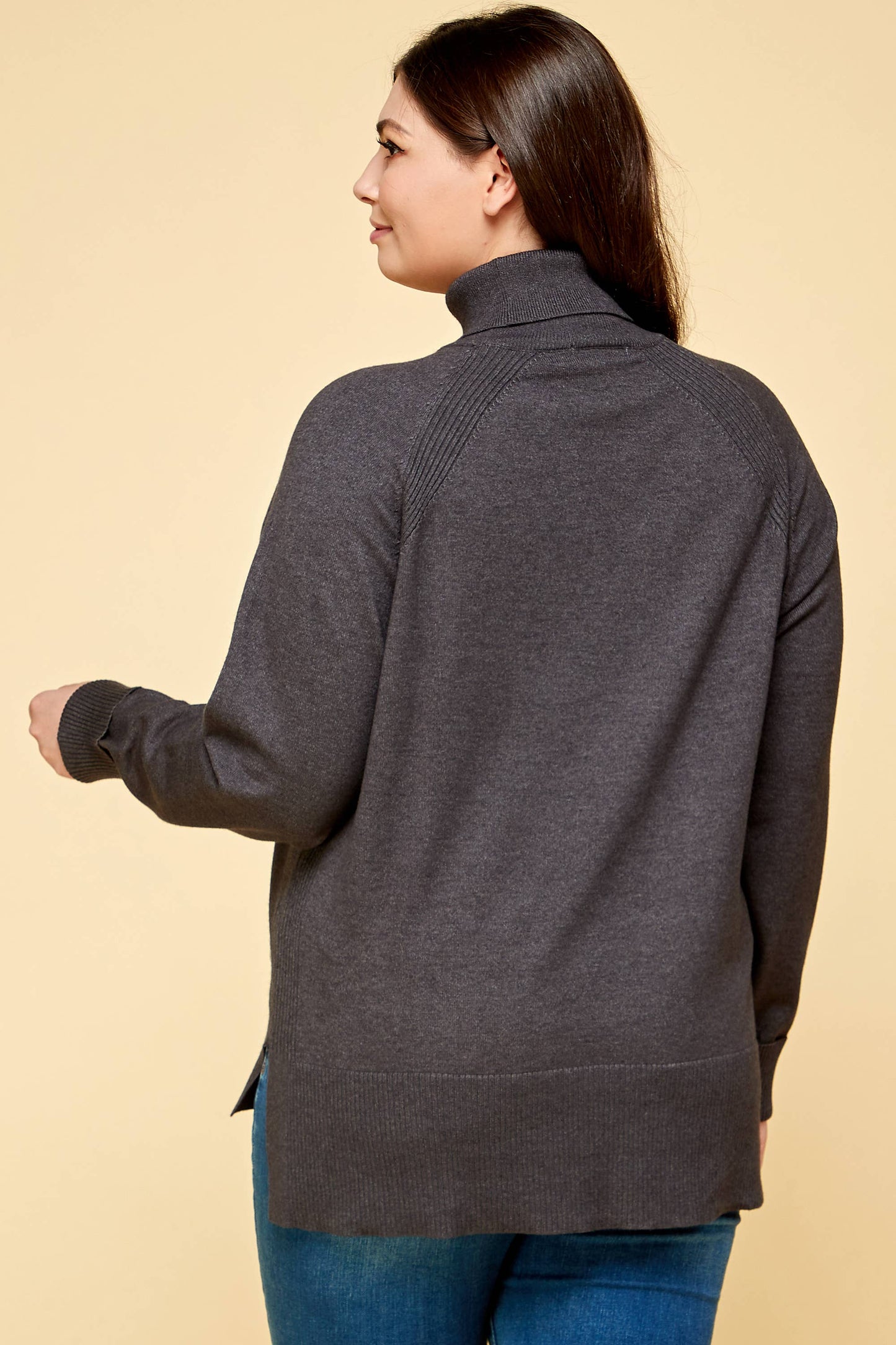 Plus Size Turtleneck Solid Sweater