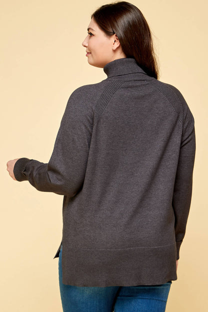 Plus Size Turtleneck Solid Sweater