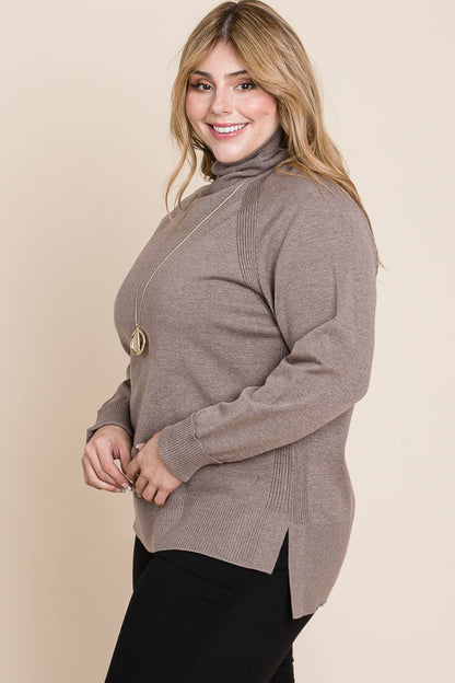 Plus Size Turtleneck Solid Sweater