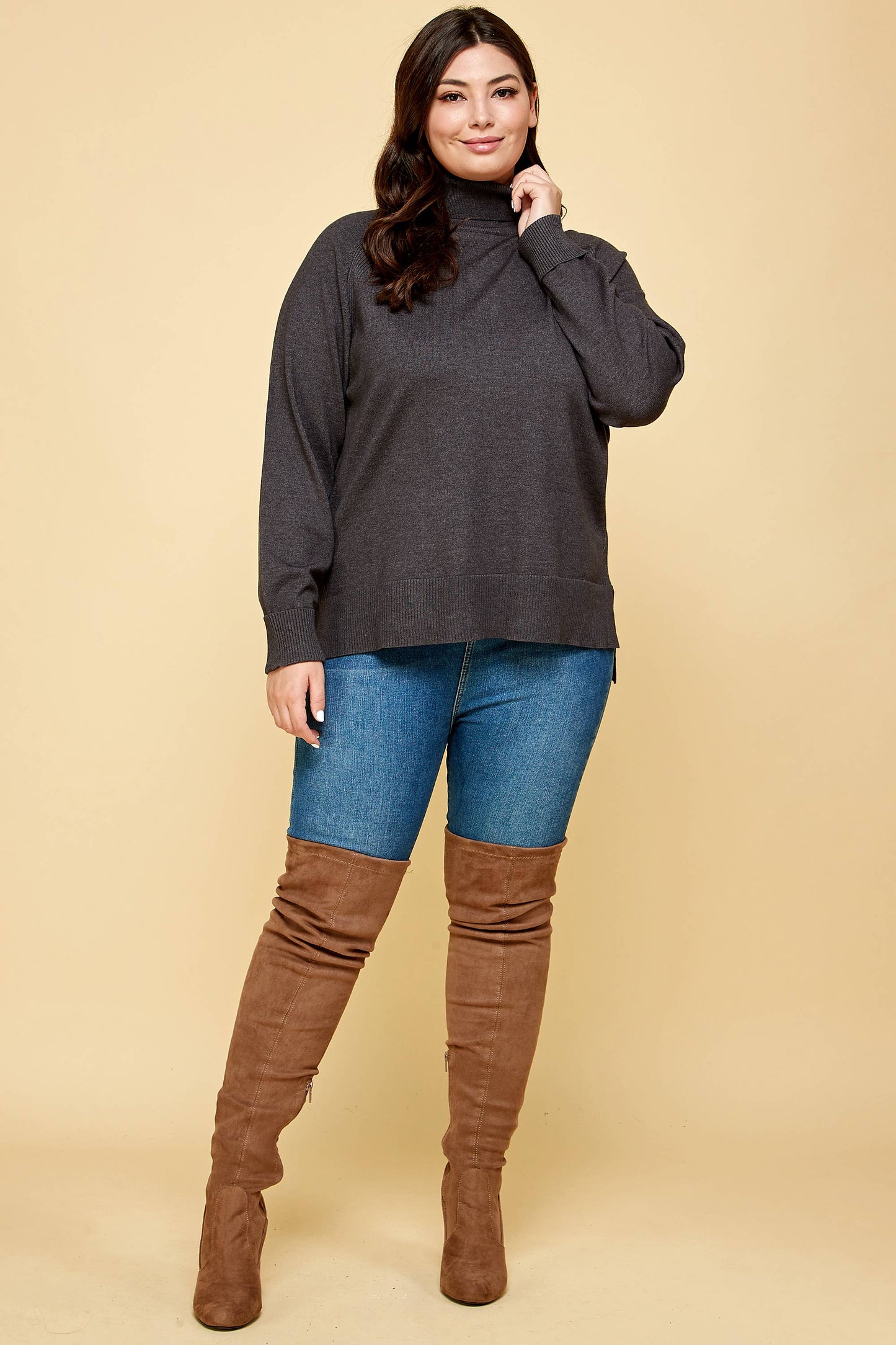 Plus Size Turtleneck Solid Sweater