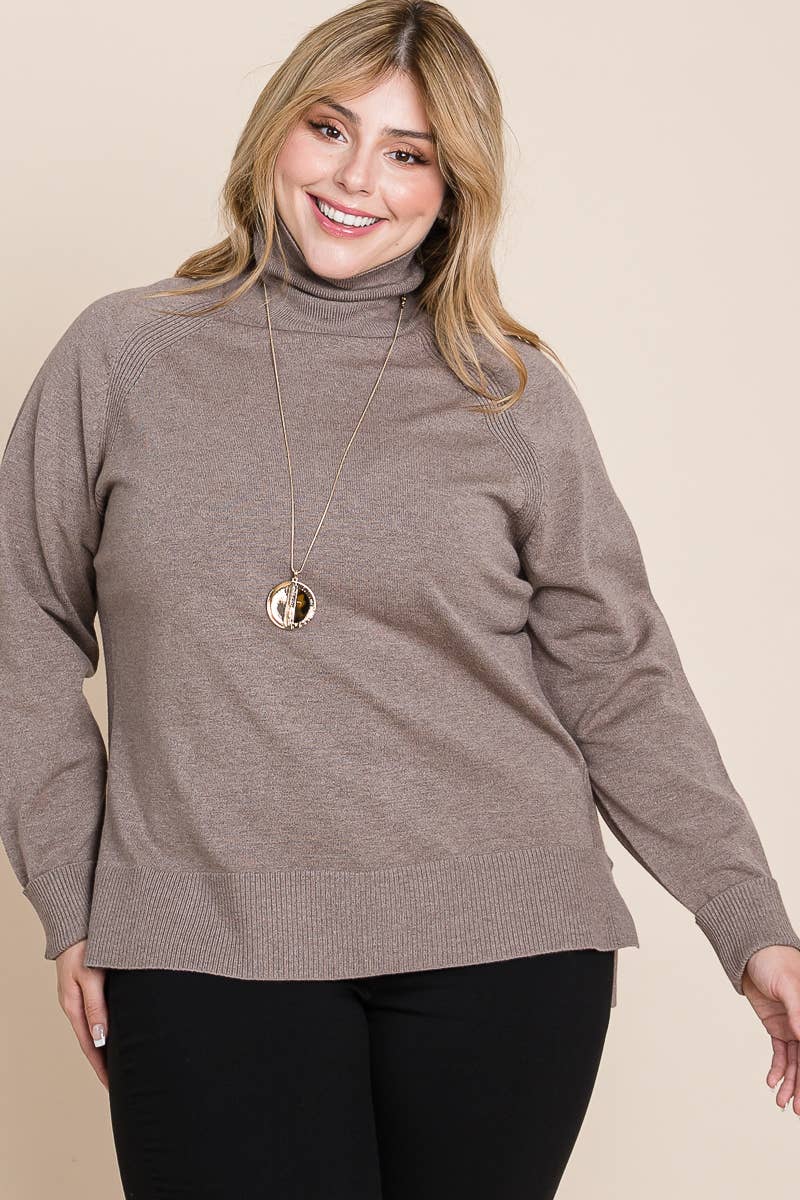 Plus Size Turtleneck Solid Sweater