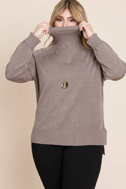 Plus Size Turtleneck Solid Sweater