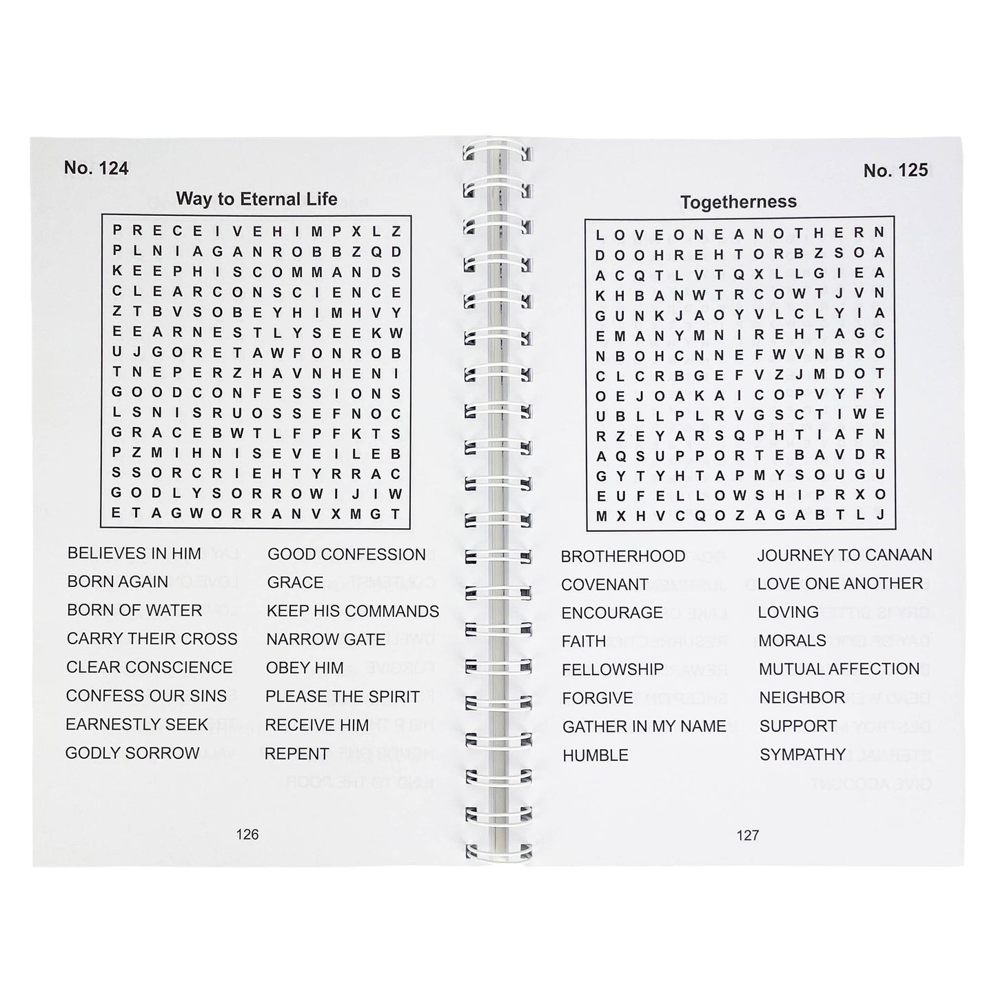 Bible Large Print Religious Word Search Adult Puzzle Book