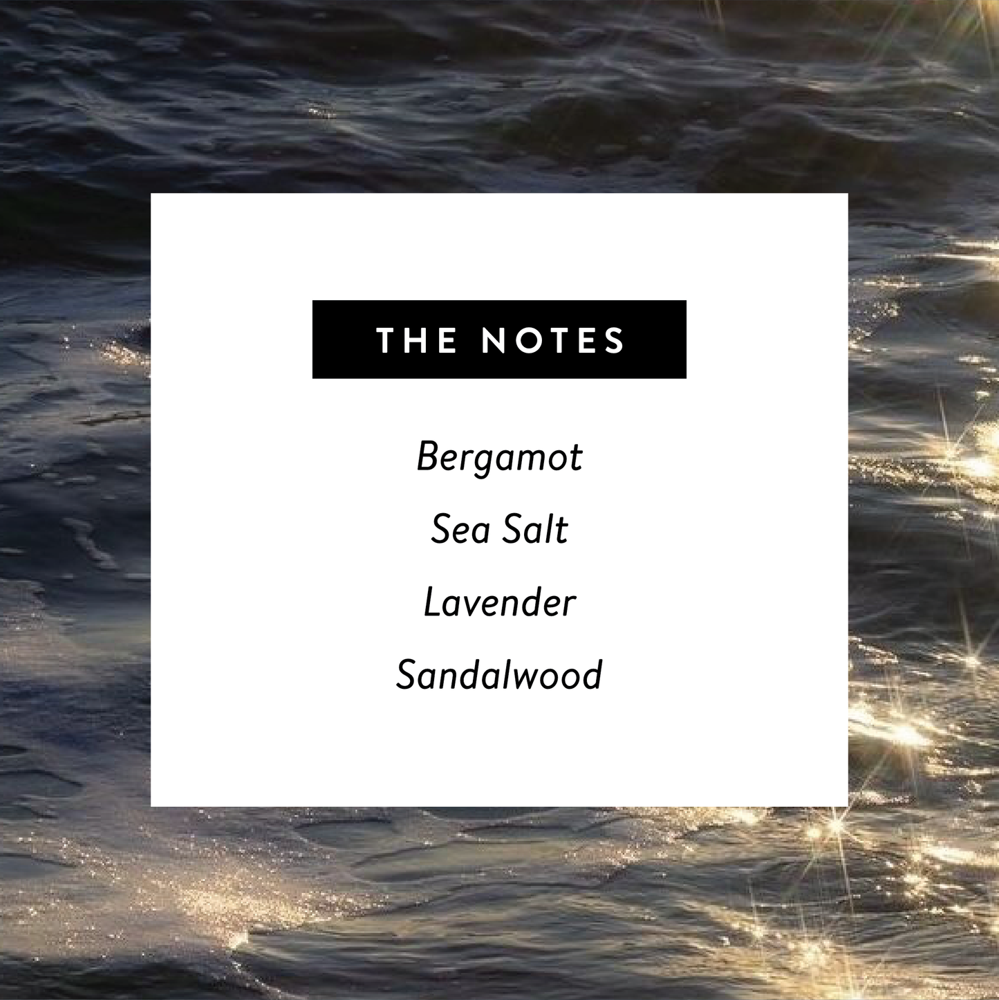 Midnight Moon 🌙 Perfume - Nontoxic Eau De Parfum 1.7oz