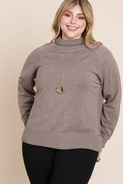 Plus Size Turtleneck Solid Sweater
