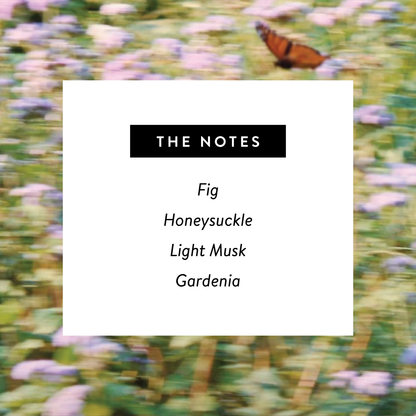 Monarch 🦋 Perfume - Nontoxic Eau De Parfum 1.7oz