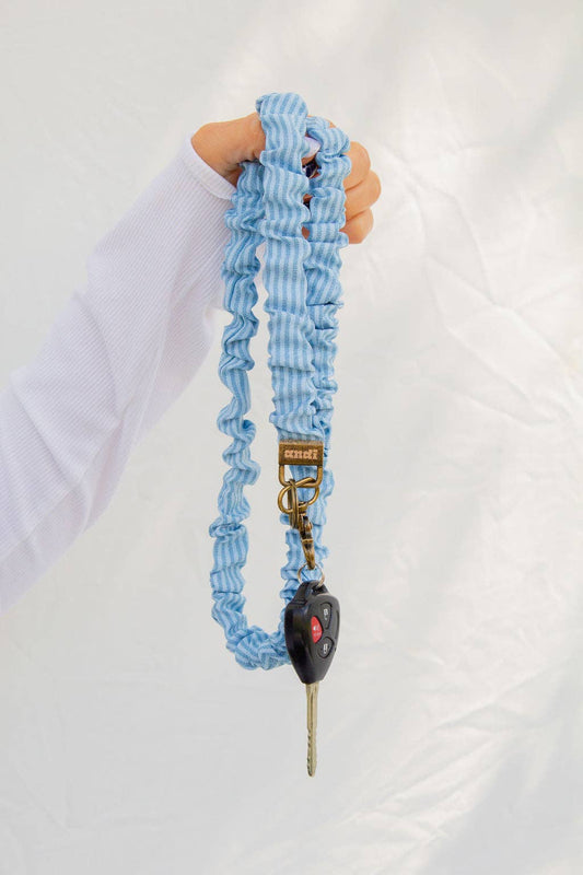 Blue Striped Lanyard