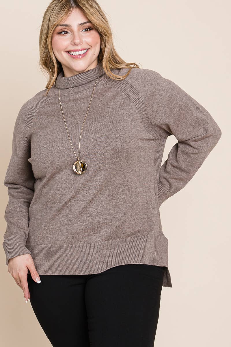 Plus Size Turtleneck Solid Sweater