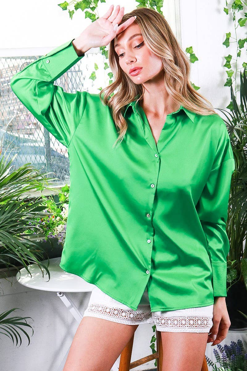 Collared Neckline Solid Satin Blouse Shirt